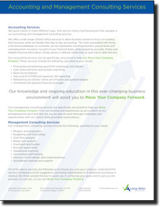 Land Allan & Company Accounting Mangement and Consulting Slip sheet