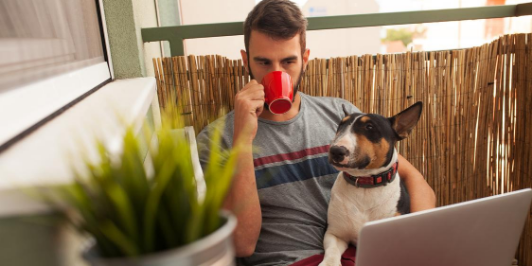 work from home man with dog