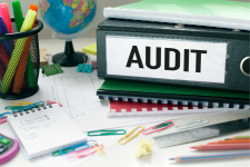 individual audit